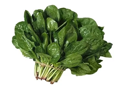 Toptan Ispanak